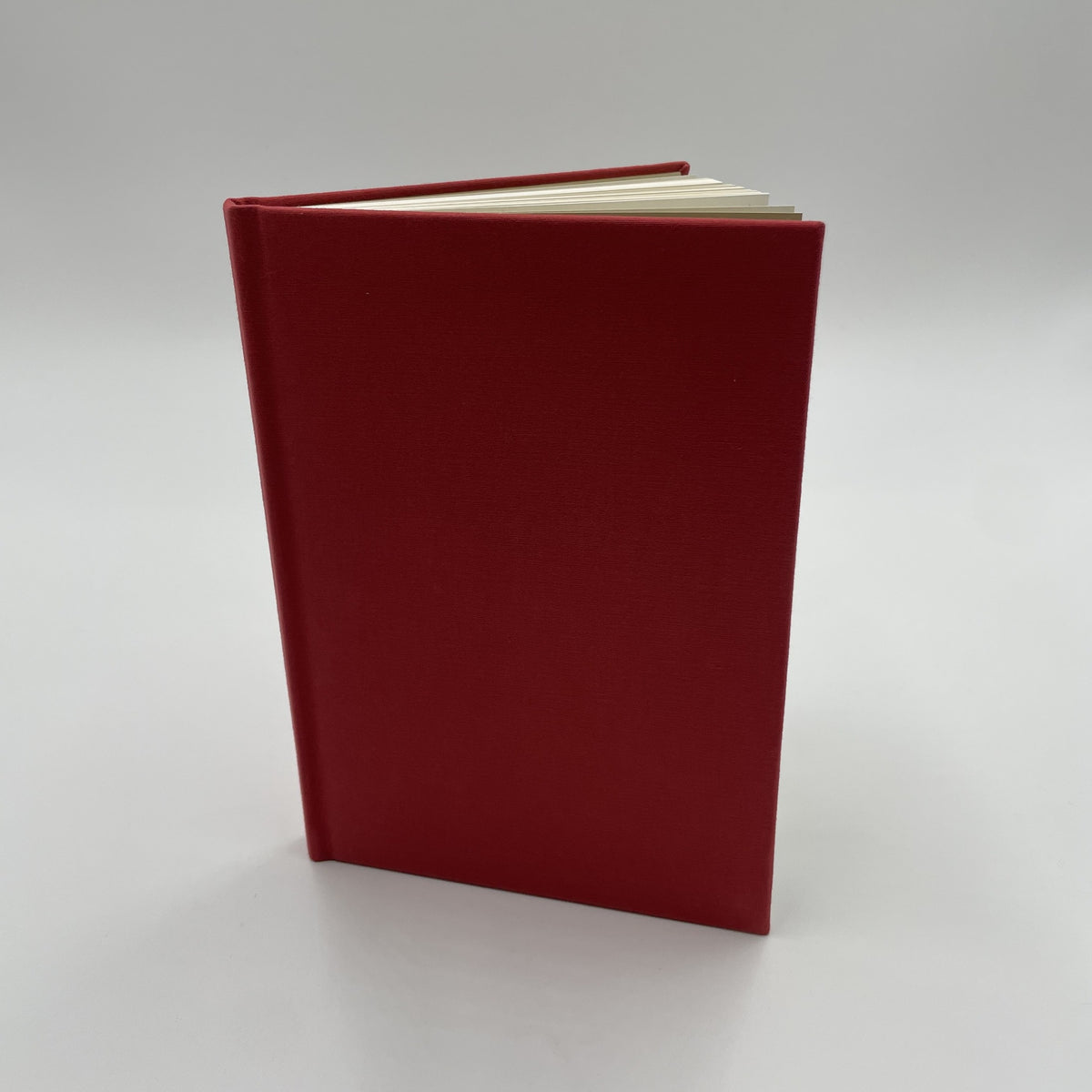 The Handmaid's Tale A5 Notebook