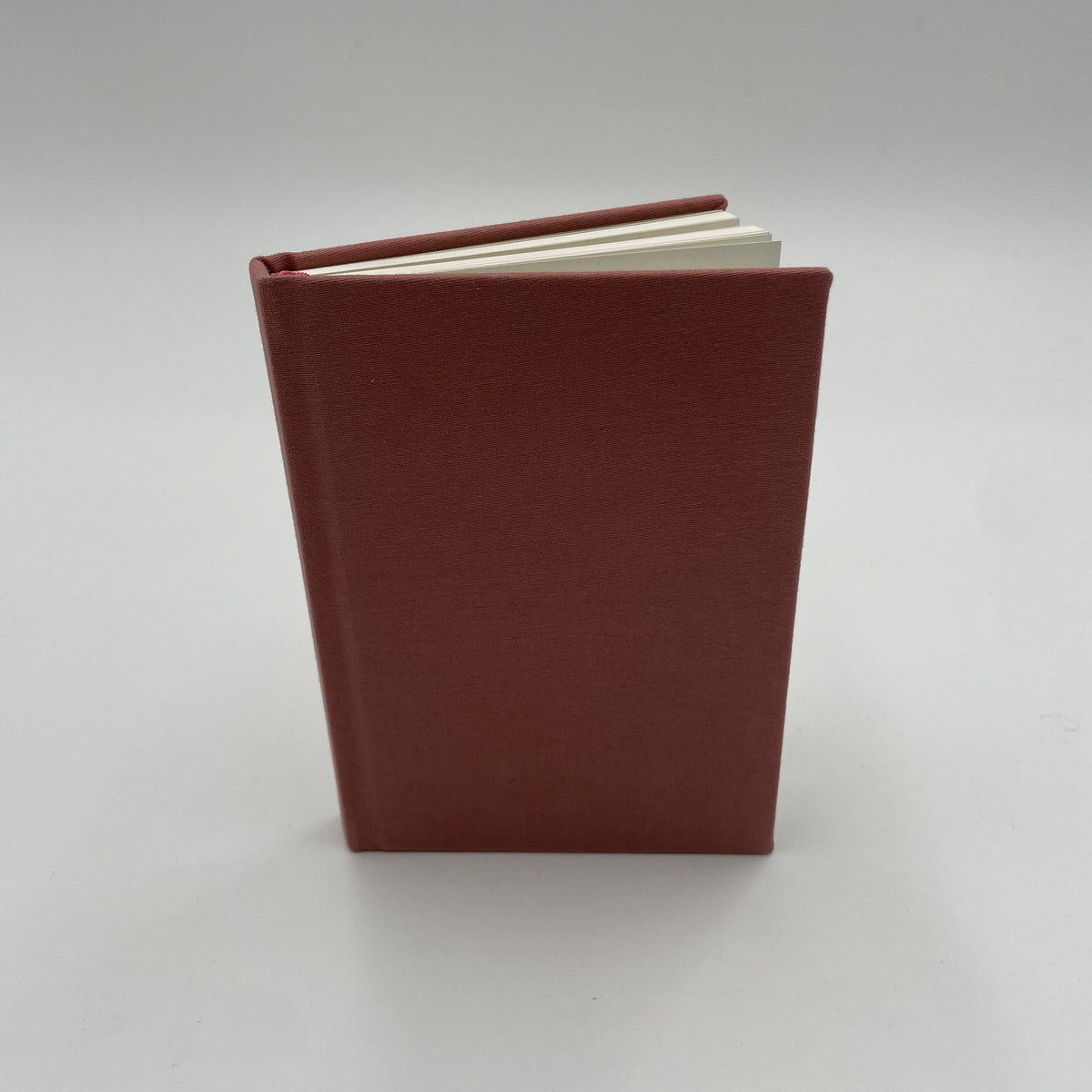 The Handmaid's Tale A6 Notebook