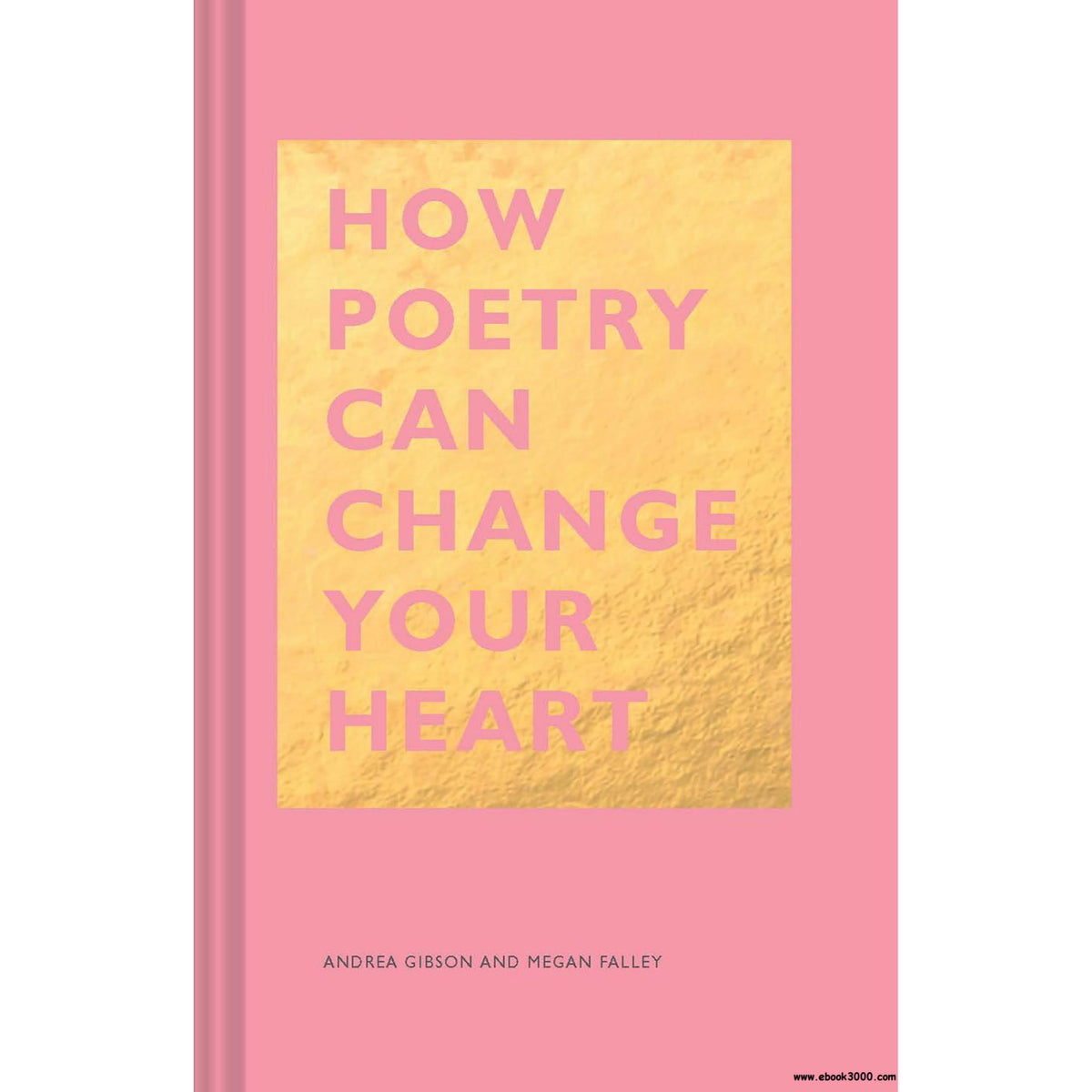 Andrea Gibson & Megan Falley - How Poetry Can Change Your Heart