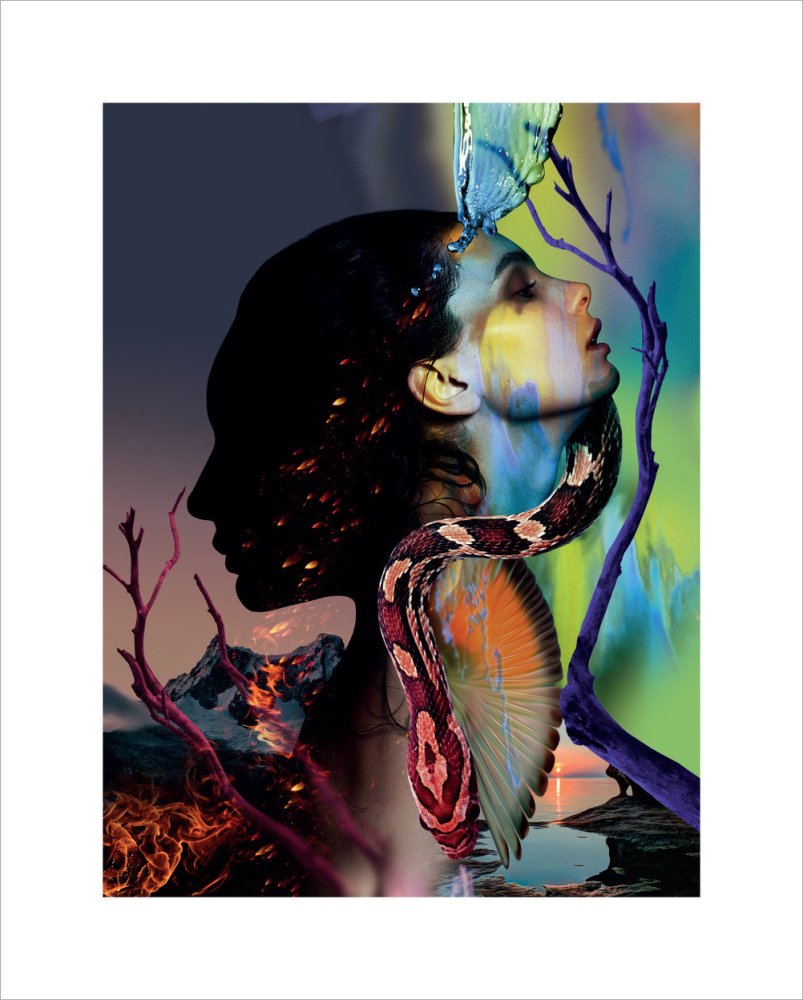 The Magic Flute, 2016, Mat Maitland Fine Art Print