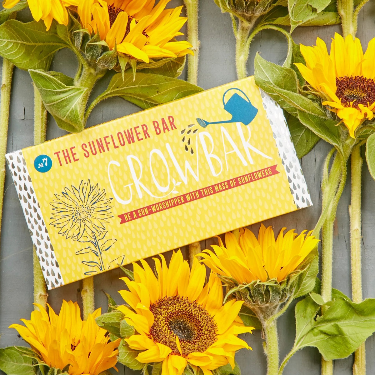 The Sunflower Growbar - Boo•kay ldn