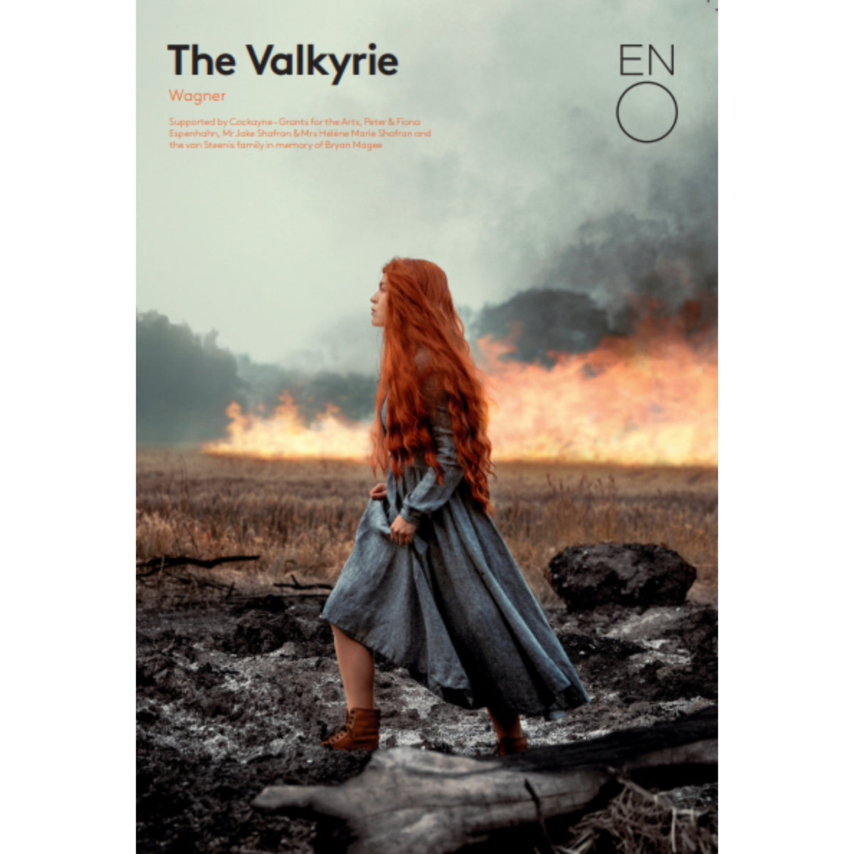 The Valkyrie Programme